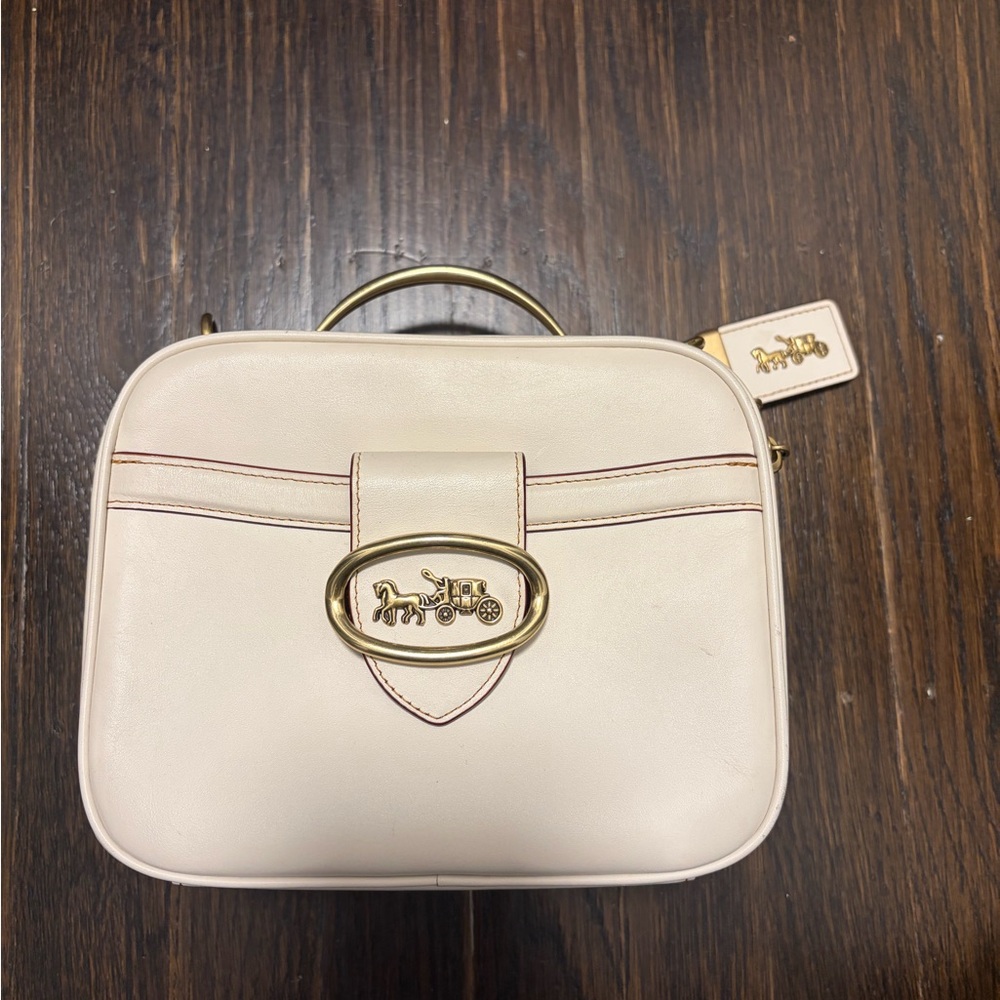 COACH Riley Lunchbox Bag in Glovetanned Leather
